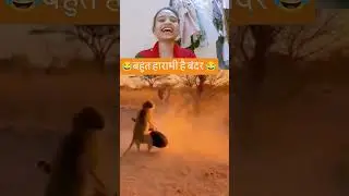 बहुत हारामी है बंदर 😂😂😂 #funny #reaction #comedy #shortvideo #viralvideo #funnyshorts #youtubeshorts