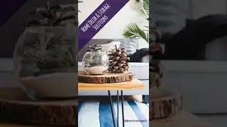 Home Decor & Storage Solutions