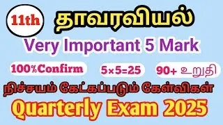 11th Botany |Quarterly Exam 2025|Most Important|2,3,5 Mark|Question|Paper|Tamil medium