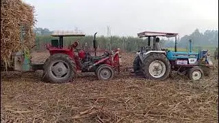 Count that 3 tractors on the trolley
