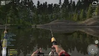 How to catch VENDANCE on Kuori Lake [Russian Fishing 4 Tutorial]