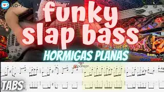 Funky Slap BASS - Hormigas Planas