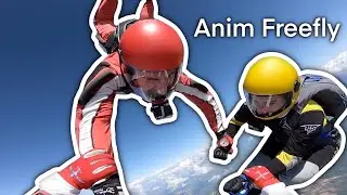[376-377] Anim Freefly
