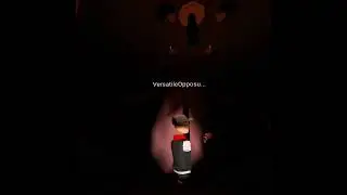 I heard it too in rr... (i cursed alot...)