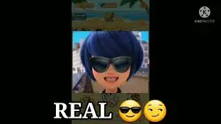 Cat Paradise || Real or Fake? || Etsuke Brothers || read desc