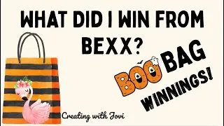 Розыгрыш призов. Что находится в сумке Boo Bag от Bexx, которую я выиграл!