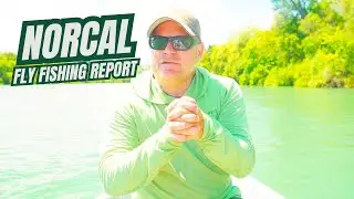 NorCal Fly Fishing Report || Confluence Outfitters