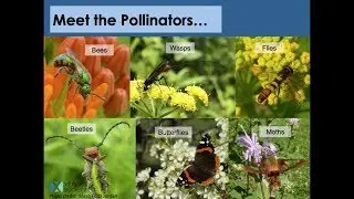 Operation Pollination with the National Park Service and Rotary District 5960