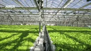 Wholesale Commercial Growing Equipment