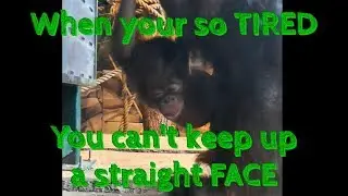 When your so TIRED, you can't keep up a straight FACE!!!
