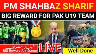 Ball - Bat cricket Talk Show 🎉🏅