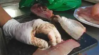 Byxa abborre - byxad abborre