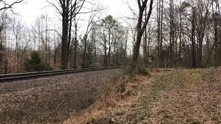 CSX sd40-2 8135 with rr tie train