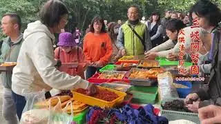 115/01/18 【年終歲末除障、超渡-普巴金剛誅法大火供】