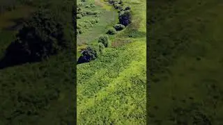 Beautiful Aerial view Nature Landscape Background video | NO Copyright Drone Footage
