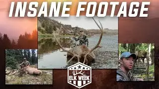 Elk Week Film Contest winners (Subscriber Hunts)