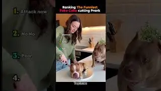ranking the funniest fake cake cutting prank #friends #friends #funny