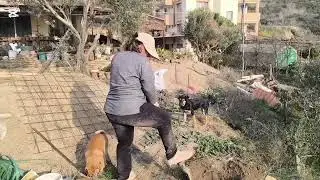 Bahçe çiti direkleri için çukur açıyorum
