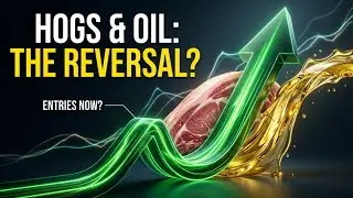 Lean Hogs and Soybean Oil Making a Turn Up?