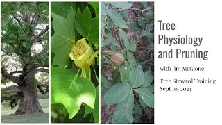 Tree Physiology and Pruning with Jim McGlone