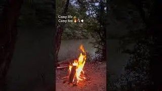 Camp fire 🔥🪵#lake #nature  #travel #camp #campfire #forest  #shorts #sunset #relaxing #relax