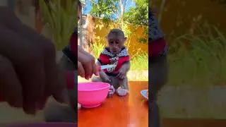 Heartwarming bond between monkey and humans growing stronger daily ❤️🙈