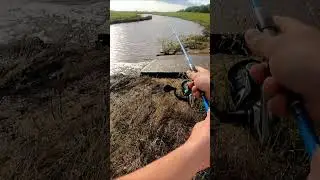 huge bass caught in ditch