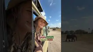 Don&rsquo;t do THIS on Safari! 👀‼️Pack the RIGHT clothes! #safari #tanzania #kenya #serengeti
