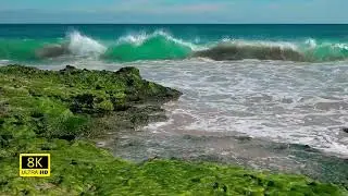 Stresi Yok Eden Doğa Sesleri | Relaxing Nature Sounds #relaxing#relaxingnature#naturesounds