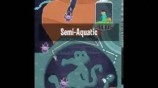 Where's my perry? Semi-aquatic three gnome walkgrouth