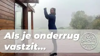 MSU #422 | Lage rugpijn &ndash; heling van het niersysteem | 💜 Morning Set-Up met Jessica