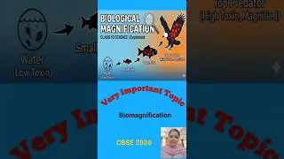 🐠Biological magnification Class 10 Science Our Environment #shortsfeed #biology