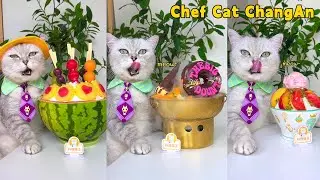 Try My Fresh Summer Treats And Relax!🍑🍉 |Cat Cooking Food|Cute And Funny Cat