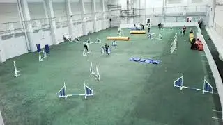 Active Dogs ry:n viralliset agilitykisat 17.-18.1.2026 3-luokka (xS, S, M)