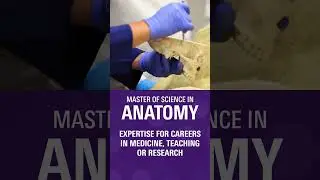 A Complete Understanding of the Human Body #doctor #college #education