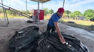 Preparando y limpiando el lugar donde aremos el cilo 