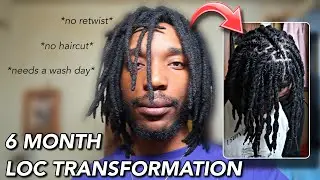 3 YEAR LOC UPDATE (i went 6 months without a retwist)