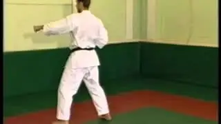 HEIAN NIDAN.SHITO-RYU.swf