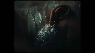 Tayc - Fleur Froide - Second &Eacute;tat : La Cristallisation
