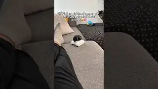 Обожаю этого маленького робота 😂💕 #робот #пары #камера #дальниерасстояния