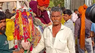 #Jay Shri Parshuram Bhagwan shobhayatra thara shahar#horse #status #viral #video #subscribe  #short