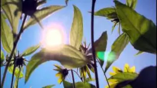 Madre Natura - I Capolavori di Dio