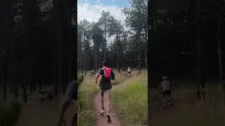 trail running on spring brook loop south trail in Boulder, Colorado #trailrunning #running