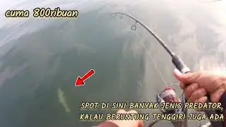 MANCING NGAPUNG KE NIRWANA | BANYAK TARGET, ADA TALANG