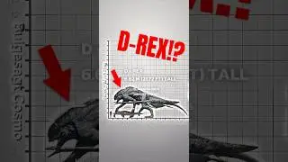 JURASSIC WORLD REBIRTH/EVOLUTION SIZE COMPARISON