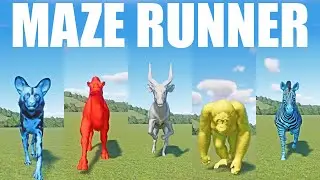 Random Coloured Animals Speed Races in the MAZE in Planet Zoo included Dog, Camel, Bongo etc