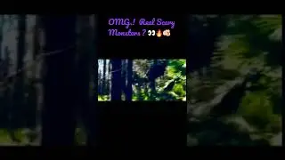 #ScarboroEdits !❤️🔥🎸 #Dogman #paranormal #Sasquatch #skywatchers #cryptids #portals