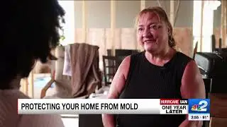 Hurricane Ian's unseen impact: mold and health concerns linger for many Southwest Florida homeowners