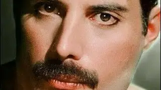 Freddie Mercury 