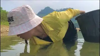 Release the net to catch fish, find crabs and catch snails when the water recedes